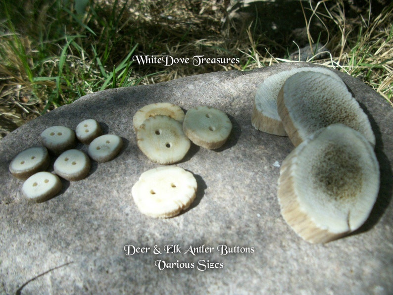 Deer Antler Buttons Elk Antler Buttons Handmade Natural Etsy
