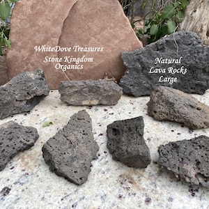 May include: A collection of seven dark gray, porous lava rocks arranged on a speckled stone surface. The text WhiteDove Treasures Stone Kingdom Organics Natural Lava Rocks Large is visible in white lettering across the rocks and background.