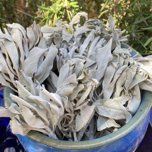 Barras de cristal de selenita + racimos de salvia blanca, forma natural de 12,7 cm, meditación de chakras, rejilla de energía cristalina, regalo para trabajadoras de la luz, Wise Woman Ways imagen 2