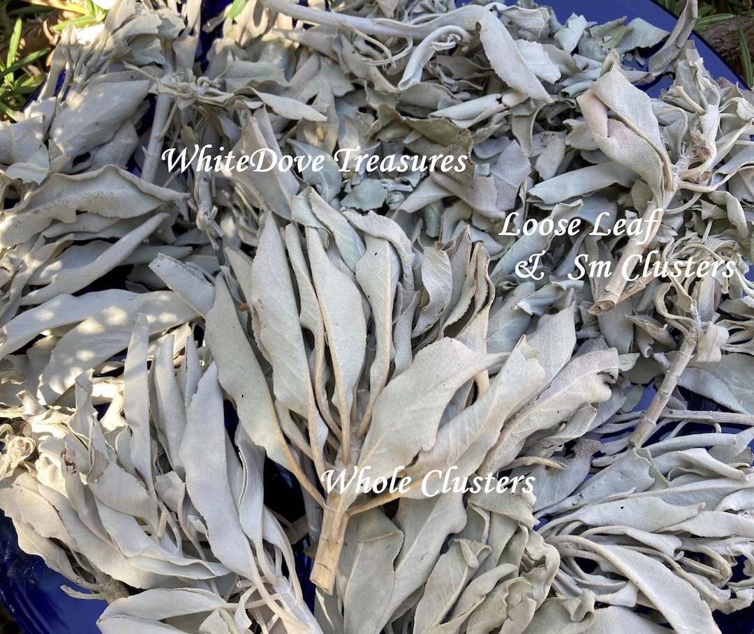 JUNIPER RIDGE - White Sage Loose Leaves (0.5 Lb) & Redwood - View #8