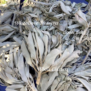 May include: A close-up of a pile of dried white sage leaves. The leaves are arranged in a variety of sizes and shapes, with some leaves still attached to their stems. The text "WhiteDove Treasures" and "Loose Leaf & Sm Clusters" are visible in the image.  The text "Whole Clusters" is also visible in the image.