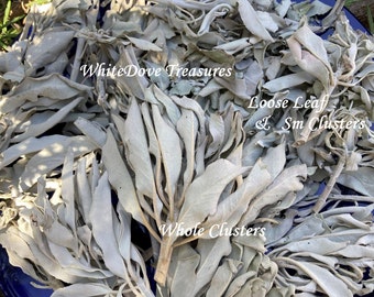 White Sage Clusters & White Sage Loose Leaf 1~10 oz Bulk, White Sage Smudge, Aura Chakra Clear, Meditation Sage, Altar Incense, Organic