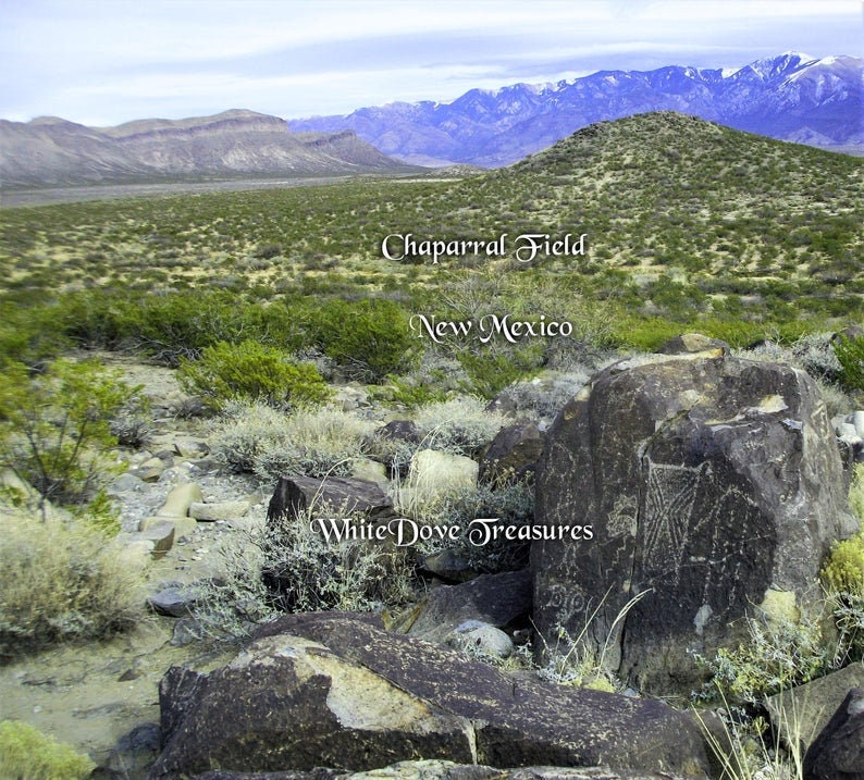 May include: A rocky landscape with petroglyphs carved into the rocks. The text "White Dove Treasures" is visible in the image. The text "Chaparral Field, New Mexico" is also visible in the image.