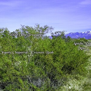 May include: A view of a green, organic chaparral landscape with a creosote bush in the foreground. The text "White Dove Treasures" is visible in the upper left corner of the image. The text "Apache Rez Mtns" is visible in the upper right corner of the image. The background features a mountain range with snow-capped peaks.