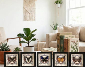 Mariposa enmarcada real / Decoración gótica para el hogar / Ejemplar de crisopa roja / Arte mural de Dark Academia / Regalo de Navidad / Bolsa de regalo gratis