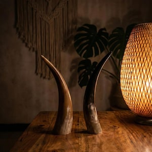 Op de afbeelding: Twee decoratieve, gebogen hoorns met een gepolijste afwerking. De hoorns hebben een mix van bruine en beige tinten, met een lichtere basis en donkerdere uiteinden. Ze staan rechtop op een houten oppervlak, wat wijst op een rustiek of natuurlijk thema.