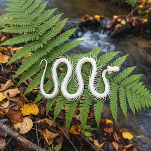 Może przedstawiać: Biały szkielet węża spoczywa na zielonej paproci, z strumieniem i jesiennymi liśćmi w tle. Szkielet węża jest szczegółowy, pokazując kręgi i czaszkę. Obraz ma naturalną, ziemistą estetykę.
