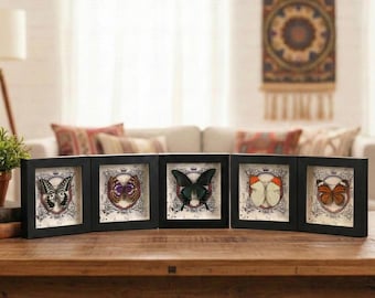 Mariposa enmarcada real / Decoración de Dark Academia / Regalo de Navidad para él / Arte de taxidermia entomológica / Caja de sombras de 6x6 / Bolsa de regalo gratis