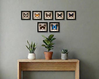 Mariposa real enmarcada / Decoración de pared vibrante / Arte entomológico / Regalo de Navidad para él / Taxidermia / Bolsa de regalo gratis