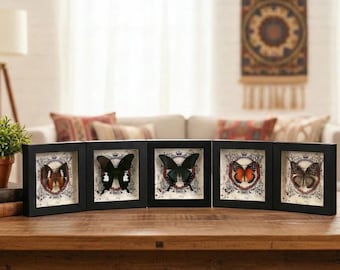 Echter Schmetterling | Gothic Wohnkultur | Rote Florfliege | Dark Academia Wandkunst | Weihnachtsgeschenk | Kostenlose Geschenk Tasche