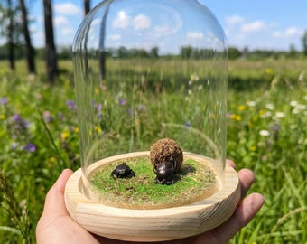 Escarabajo pelotero disecado real / Diorama de insectos en cúpula de cristal / Decoración rústica de escritorio