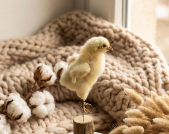 Pollito taxidermia real / Base de madera rústica / Pollito amarillo esponjoso / Decoración estilo cottagecore de granja / Curiosidades adorables
