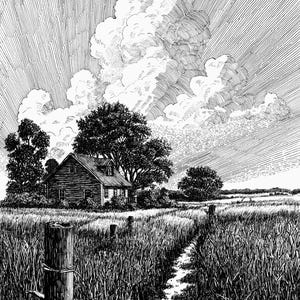 Op de afbeelding: Zwart-witte pen- en inkttekening van een landelijk landschap. Een klein huis staat tussen bomen in een veld met hoog gras. Een pad leidt door het gras naar het huis. De lucht is gevuld met wolken en stralende lijnen.
