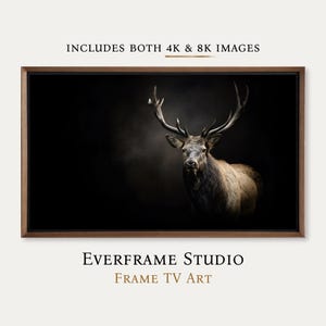 May include: A digital television display framed in wood, showcasing a high-resolution portrait of a stag with large antlers against a dark, moody background. The text above reads INCLUDES BOTH 4K & 8K IMAGES, and below reads EVERFRAME STUDIO FRAME TV ART.