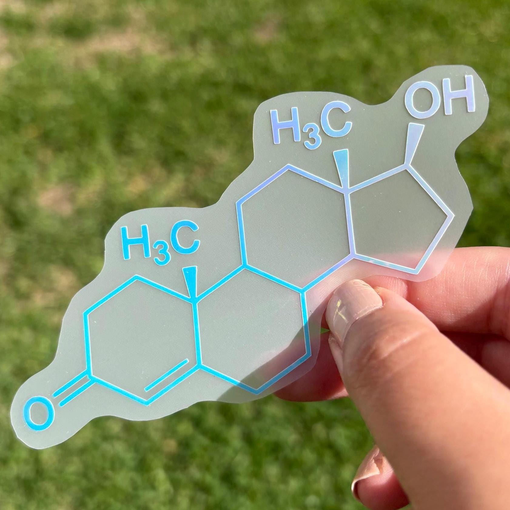 Hormones Sticker Testosterone Molecule Vinyl Decal | Hormone Chemistry Sticker - Etsy