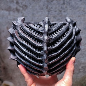 May include: A dark gray, textured, decorative bowl with a unique ribcage design. The bowl has a series of parallel, curved lines with small openings, creating a skeletal appearance. The bowl is held in a person's hand.