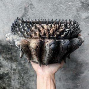 May include: A handcrafted, textured ceramic bowl with a unique, spiky rim and a dark, earthy color palette. The bowl's exterior features a series of rounded, textured protrusions, adding to its organic aesthetic. The bowl is held in a hand.