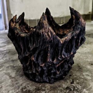 May include: A dark brown, textured planter with a rough, organic design. The planter has a wide opening and jagged edges, resembling a piece of weathered wood. The interior is a lighter brown, contrasting with the darker exterior. Ideal for succulents or small plants.