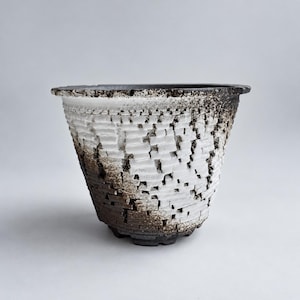 Maceta de cerámica con efecto ladrillo craquelado en blanco y negro, con textura de muro de castillo, ideal para suculentas, cactus y plantas con caudex, disponible en estilo compacto o ancho.