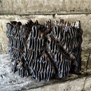 May include: A textured planter with a dark, weathered appearance. The exterior features a carved, organic pattern with vertical grooves and a rough, uneven surface. The color is primarily dark brown with hints of bronze.