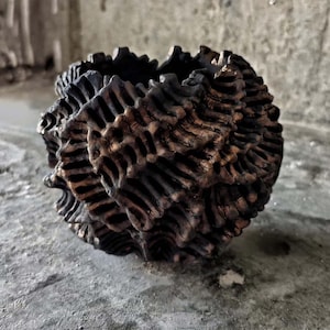 Maceta de cerámica texturizada estilo japonés con caudex, estilo rústico Wabi Sabi, ideal para la decoración de suculentas.