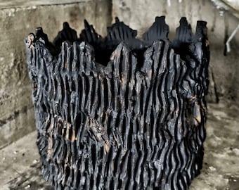 Japanese Handmade Ceramic Caudex Plant Pot Sculptural Wabi Sabi Decor