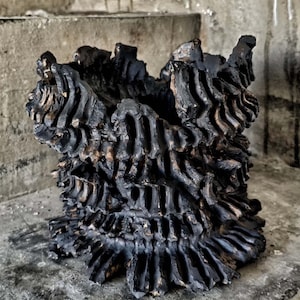 Puede incluir: Un jarrón de cerámica negra texturizado con un diseño único y con volantes. El jarrón tiene una apariencia rugosa y orgánica, con un color oscuro y un toque de oro en las grietas. El jarrón está sobre una superficie de hormigón.