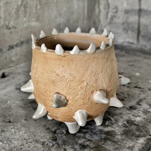 Puede incluir: Jarrón de cerámica hecho a mano con una superficie beige texturizada y protuberancias blancas en forma de espinas. El borde y la base presentan detalles blancos similares. Una pequeña pieza iridiscente está incrustada en el lateral. El jarrón tiene una forma orgánica única.