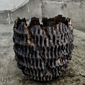 Puede incluir: Un cuenco de madera tallada, de color marrón oscuro y texturizado. El cuenco tiene un aspecto rugoso y orgánico con un patrón similar a un panal. El borde es irregular, lo que añade encanto rústico. El cuenco está sobre una superficie de hormigón.