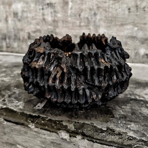 May include: A dark brown, textured bowl with a rough, organic appearance. The bowl has a unique, irregular shape and a weathered look, suggesting it may be made of wood or a similar material. The interior is visible, adding depth to the design.