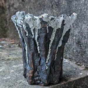 Può includere: Un vaso di ceramica fatto a mano con un esterno strutturato a forma di corteccia. La base marrone scuro è accentuata da una glassa bianca gocciolante attorno al bordo, creando un'estetica organica unica. Il vaso è progettato per contenere piccole piante.