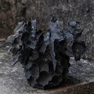 Puede incluir: Una maceta de cerámica gris oscuro con un diseño texturizado y en capas. La maceta tiene una superficie rugosa e irregular y una abertura ancha. La forma general es redonda, con bordes dentados. La maceta está sobre una superficie de hormigón.