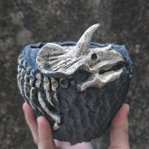 May include: A dark gray, round planter with a detailed, off-white triceratops skull and rib cage design. The planter is held in a hand, showcasing the textured surface and unique, prehistoric theme. Perfect for small plants or succulents.