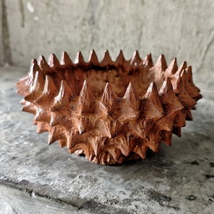 May include: A round, terracotta-coloured ceramic bowl featuring a textured exterior covered in numerous sharp, pointed spikes. The surface has a mottled, earthy finish with darker brown accents, and the rim is defined by a continuous row of spikes.