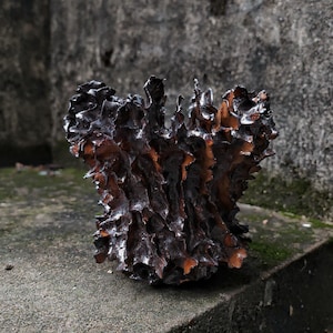 Puede incluir: Una escultura orgánica texturizada, de color marrón oscuro, con una superficie rugosa y puntiaguda. La escultura tiene toques de naranja y se encuentra sobre un fondo gris borroso. El objeto parece estar hecho de madera o un material similar.