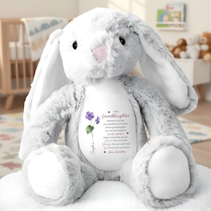 May include: A plush gray bunny rabbit with long ears and a pink nose. The bunny has a white patch on its chest with a floral design and text that reads "To My Granddaughter" and a personalized message. A sweet gift.