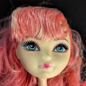 May include: A pink and white doll with blue eyes and a heart-shaped mouth. The doll has long, pink hair with a white streak at the front.