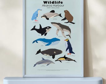 Akaroa New Zealand Wildlife Poster – Nursery Sea Animals Print