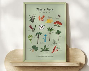 Native Flora Botanical Poster: New Zealand Plants, Classroom & Nursery Art