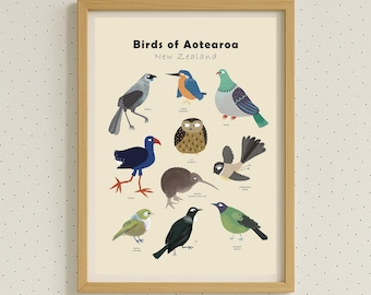 New Zealand Birds Poster – Aotearoa Native Species, Nursery Wall Art