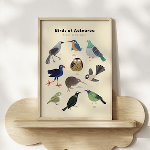 New Zealand Birds Poster – Aotearoa Native Species, Nursery Wall Art