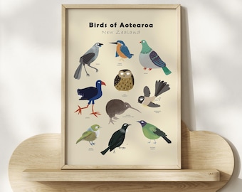 New Zealand Birds Poster – Aotearoa Native Species, Nursery Wall Art