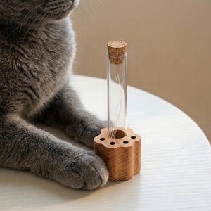 Soporte de madera natural para bigotes de gato - Caja de recuerdos conmemorativa para gatos y jarrón para recoger bigotes - Regalo personalizado de condolencia por la pérdida de una mascota, recuerdo de pelo de gato