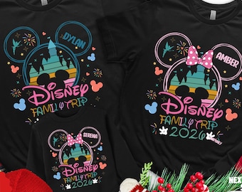 Disney Personalized Name Family Trip 2026 Shirt & Castle Color Pink or Blue Matching Tee