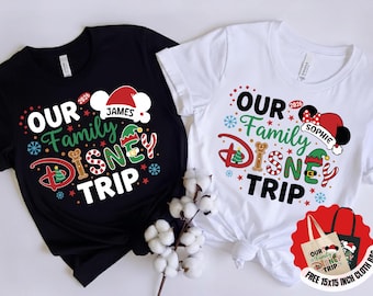 Our Family Disney Trip 2026 Personalized Name Holiday Castle Fireworks Christmas Matching Tee