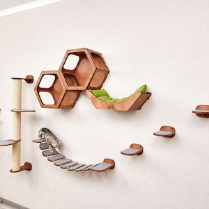 Puede incluir: Una estructura de escalada para gatos montada en la pared con plataformas de madera, un puente y un rascador. Incluye una estanter&iacute;a hexagonal y una cama con un coj&iacute;n verde. Un gato gris y blanco usa el puente.