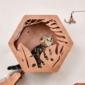 Puede incluir: Un gatito atigrado marr&oacute;n y beige dentro de una casa para gatos hexagonal de madera con recortes de hojas. Un juguete de plumas cuelga de arriba, y el gato lo mira. La casa para gatos est&aacute; montada en una pared blanca.