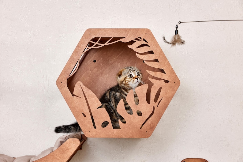 Puede incluir: Un gatito atigrado marr&oacute;n y beige dentro de una casa para gatos hexagonal de madera con recortes de hojas. Un juguete de plumas cuelga de arriba, y el gato lo mira. La casa para gatos est&aacute; montada en una pared blanca.