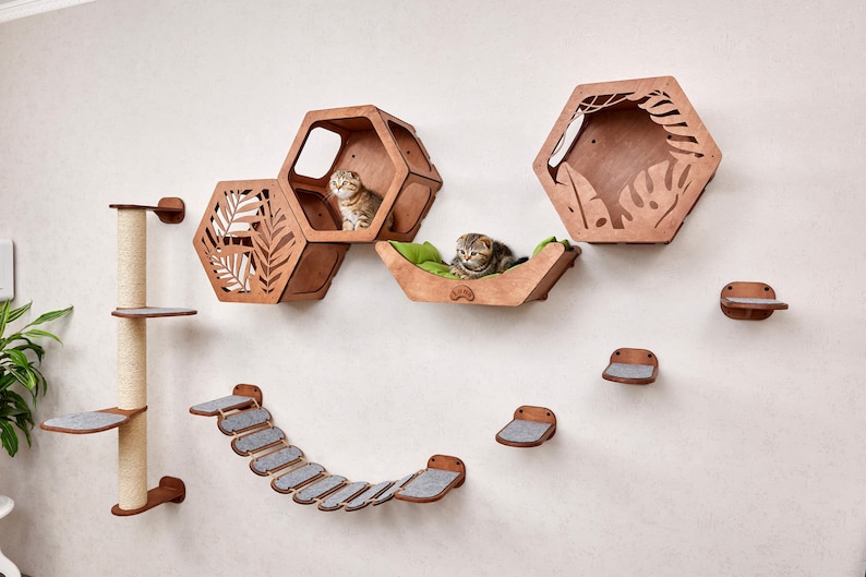 Modern cat wall furniture set: hexagon cat shelves, cat wall bed, cat steps for wall, wall mounted cat scratcher, cat wall bridge