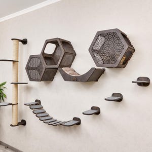 Pode incluir: Um moderno sistema de parede de escalada para gatos com vários elementos. Inclui um poste de arranhar, casas de gato hexagonais, degraus e uma ponte. As estruturas são cinza escuro e montadas em uma parede clara, criando um espaço elegante e funcional para felinos.